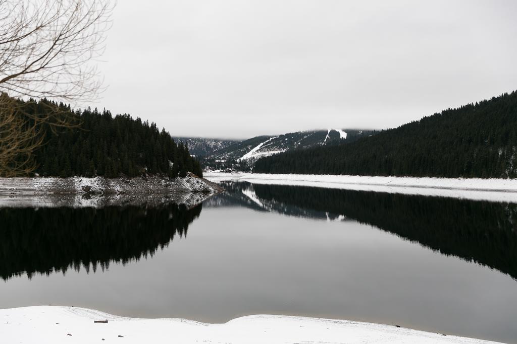 Вілла Panorama Apuseni Беліш Екстер'єр фото